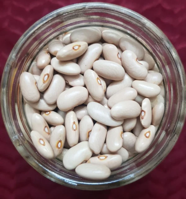 White Rajma 500 GM