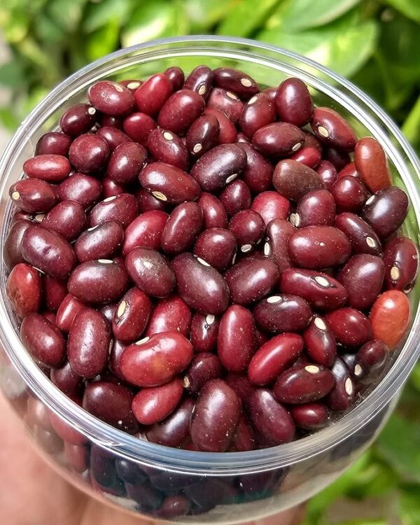 Red Rajma 500 GM